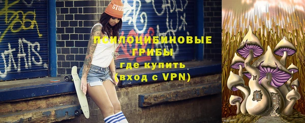 гидропоника Арсеньев