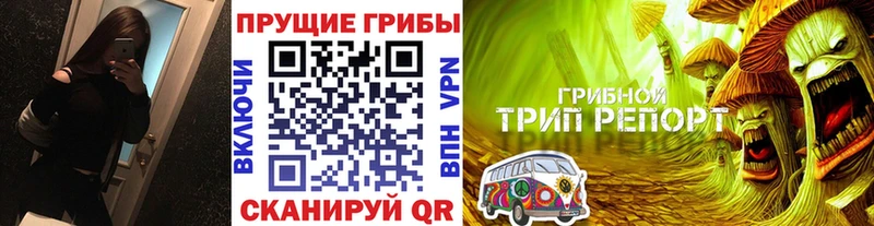 Галлюциногенные грибы мицелий  Купить  Дрезна 